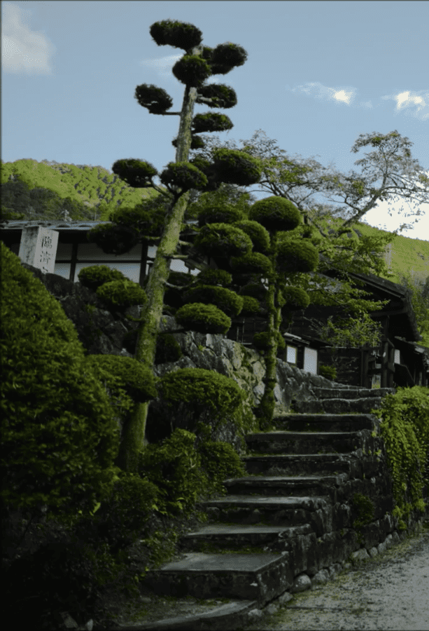screenshot 2026 06 18 at 18 53 26 zenagi japon ailes voyages videos & movies on vimeo (1)